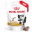 Лакомства за кучета Royal Canin Urinary Dog Treat за подпомагане на уринарния тракт 230 гр